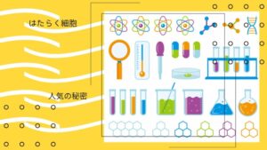 「はたらく細胞」人気の秘密には3つの理由があった！細胞の不思議を学ぼう