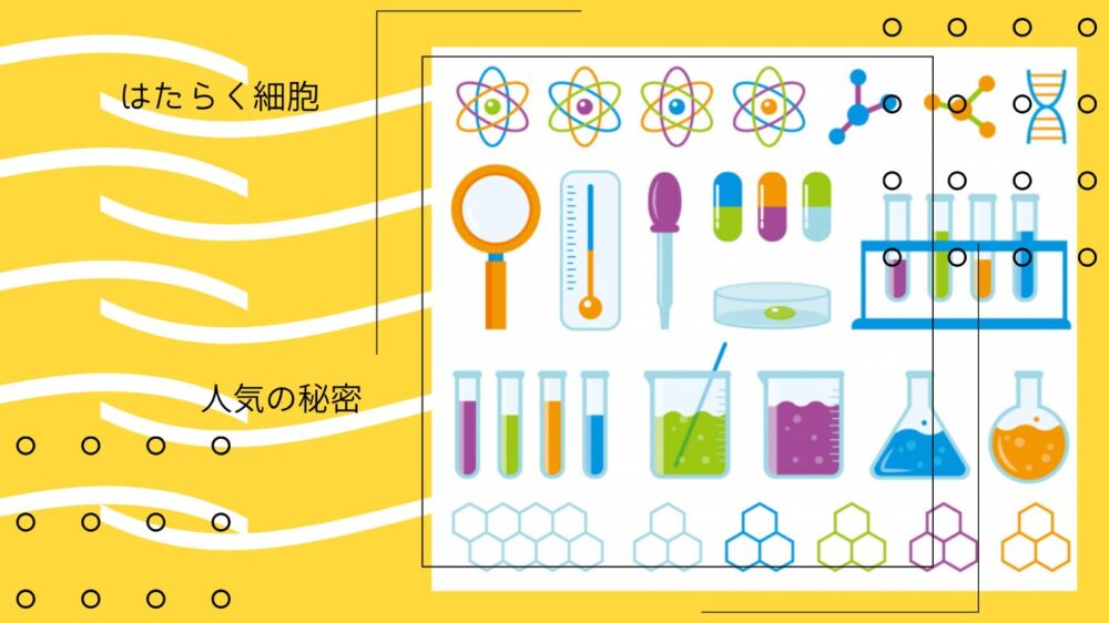 「はたらく細胞」人気の秘密には3つの理由があった！細胞の不思議を学ぼう