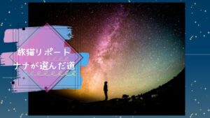 「旅猫リポート」結末でナナが選んだ、たったひとりの飼い主