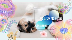 「おじさまと猫」人気の理由3選!ふくまるとおじさまが愛されるワケ