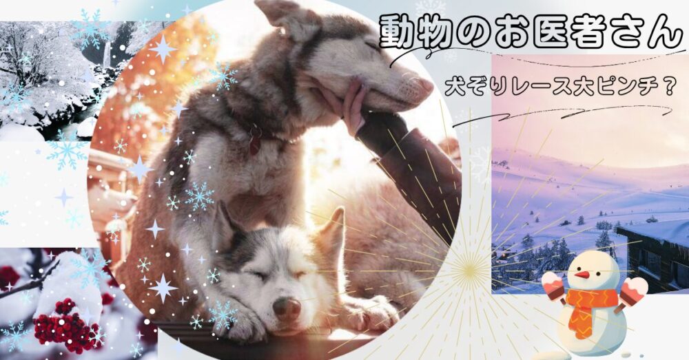 「動物のお医者さん」シーザーが逃亡！犬ぞりレースに危険信号？