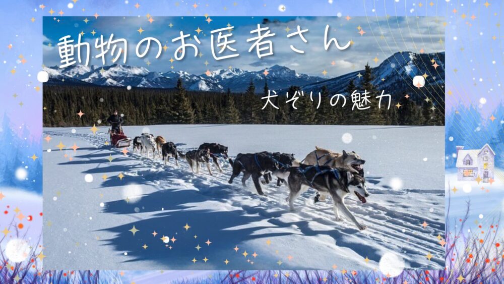 「動物のお医者さん」犬ぞりの魅力に取り憑かれたハムテルたち