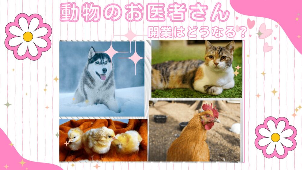 「動物のお医者さん」最終回は驚きの展開！無事に開業できる？
