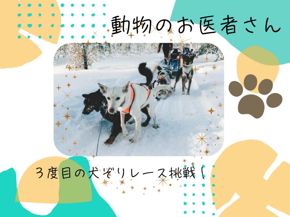 「動物のお医者さん」犬ぞり三度目の正直で優勝出来るか？