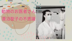 「動物のお医者さん」菱沼聖子の摩訶不思議な行動に全員唖然